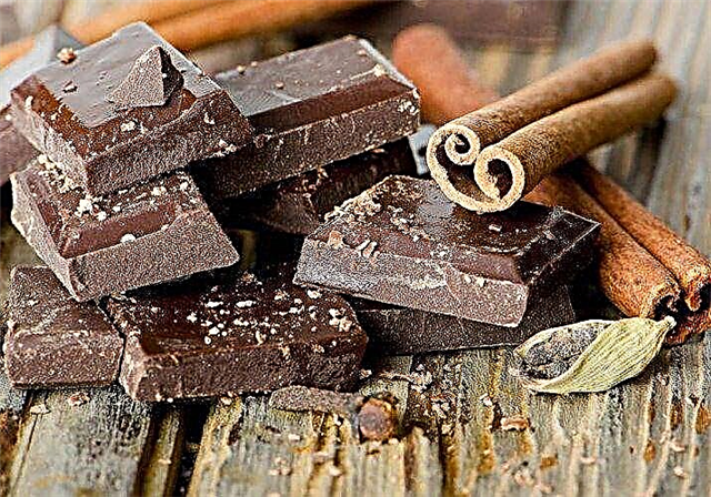 Interesting facts about chocolate, photos and videos