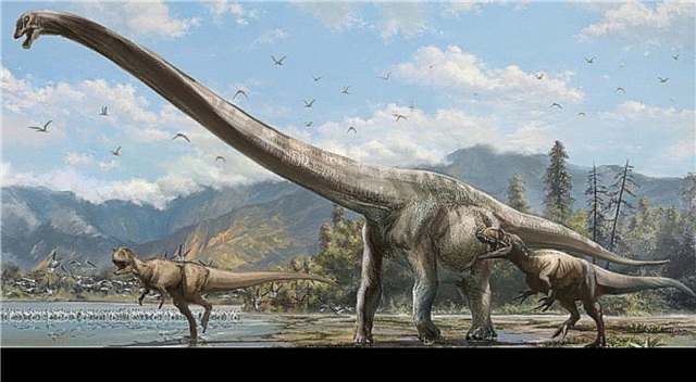 The appearance of dinosaurs - description, photos and video