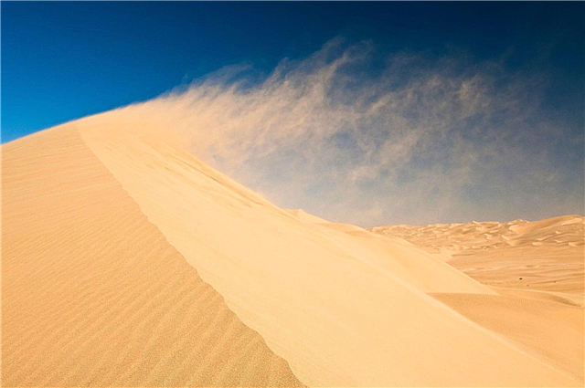 ¿Por qué no se desmoronan las dunas de arena?