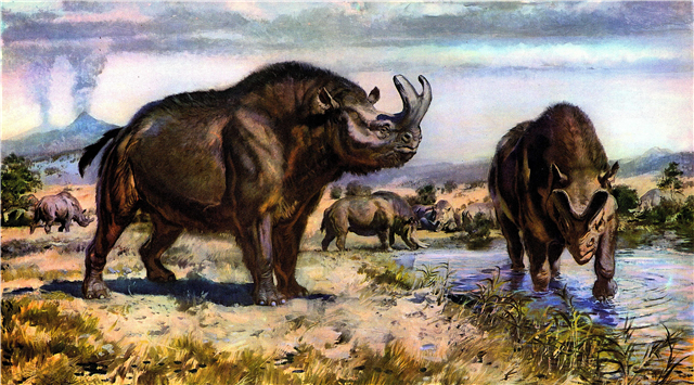 The first giant mammals - description, photo and video