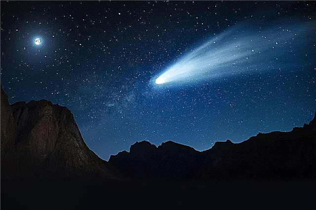 天文学者は、太陽に向かって移動する彗星が木星の軌道で「止まった」ことを発見しました