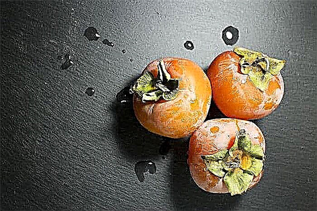 Why does persimmon stop freezing after freezing?
