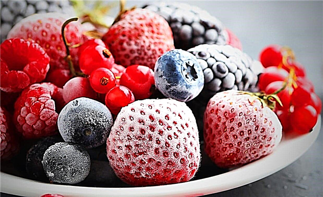 Worden vitamines bewaard in bessen en fruit wanneer ze bevroren zijn?