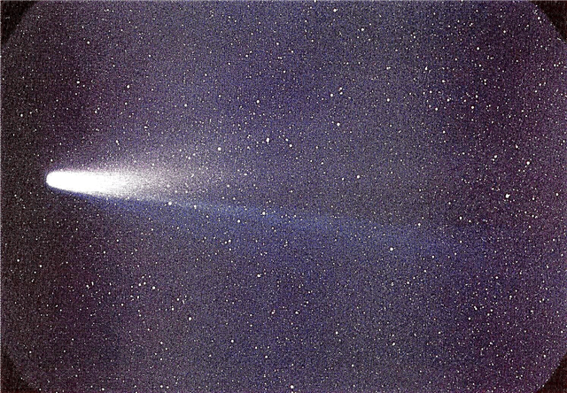 De dónde vienen los cometas, estructura, composición, fotos y videos