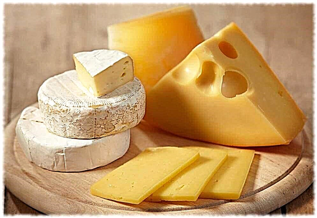 How and what is cheese made of? Description, photo and video