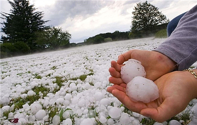 How is hail formed? Description, form of hailstones, drawings and videos