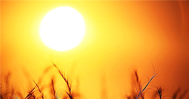 10 interesting facts about the sun - photo and video