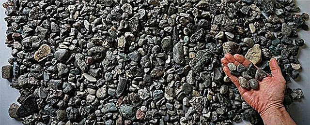 A tudósok felfedezték egy új típusú műanyag szennyeződést, hasonló a kövekhez