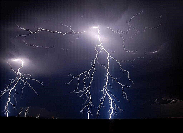 How lightning occurs - a description of what it is, how it appears, photos and videos
