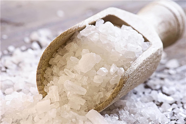 Comment le sel est-il extrait? Description, photo et vidéo