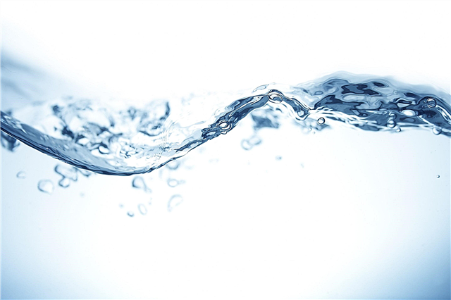 Why does water have healing properties?
