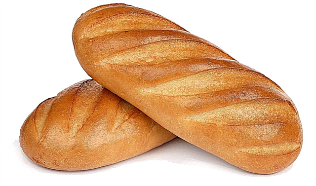 Por que os cortes são feitos no pão?
