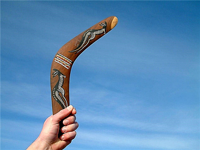 ¿Por qué vuelve el boomerang? Explicación, dibujos, fotos y videos.