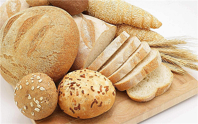 ¿Cómo y de qué está hecho el pan? Descripción, foto y video