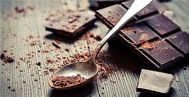 Hvordan og hvad er chokolade lavet af? Beskrivelse, foto og video