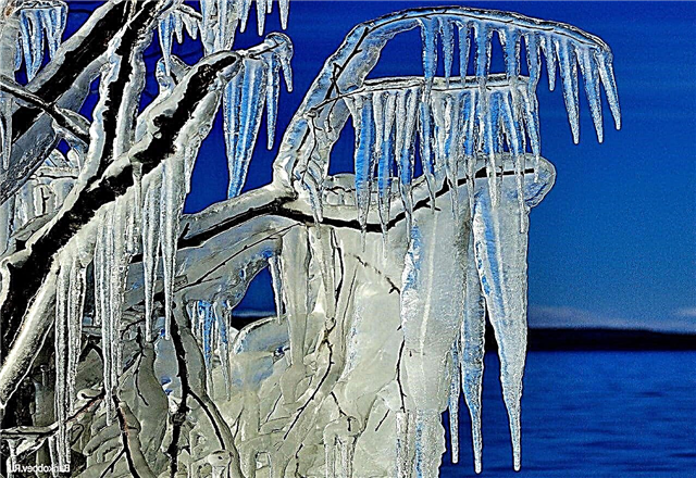 How and why are icicles formed? Description, photo and video