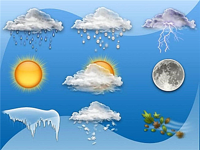 How is the weather formed and how is it predicted? Briefly, description, photo and video