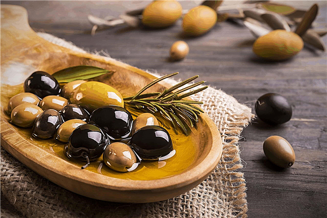 Why are olives green and black olives?