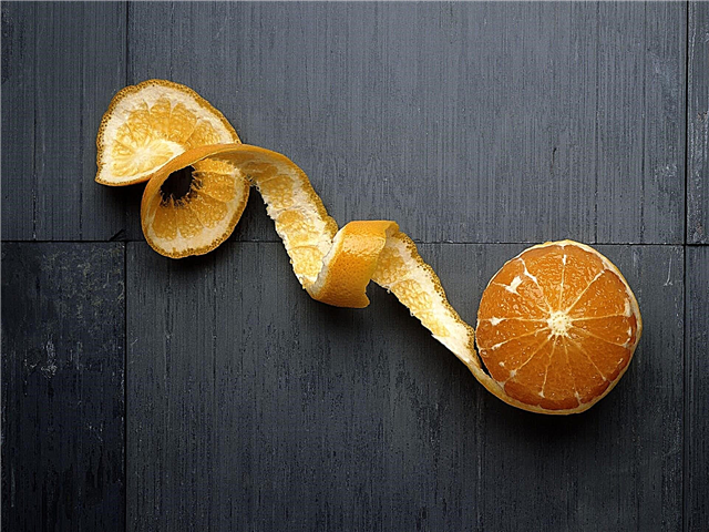 Klopt het dat een sinaasappel altijd 10 plakjes heeft?