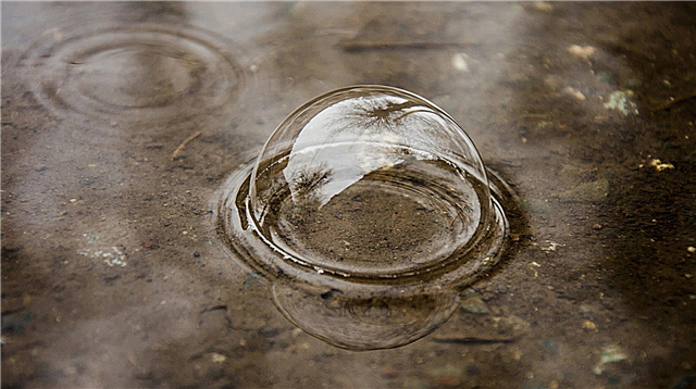 Est-il vrai que les bulles dans la flaque d'eau - à une longue pluie?