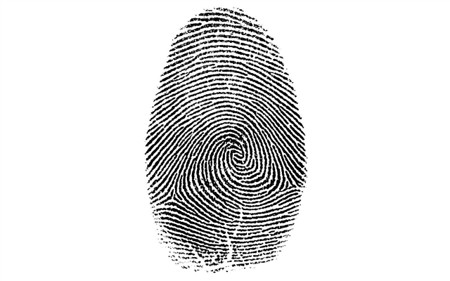 Why are fingerprints different? Description, photo and video