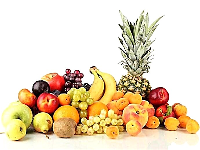 A leghasznosabb gyümölcsök - egy lista, a hasznos leírása, fotók és videók