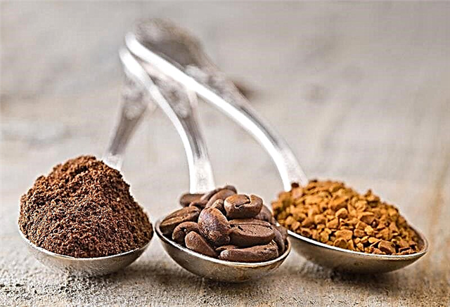 How and what is instant coffee made of? Description, photo and video