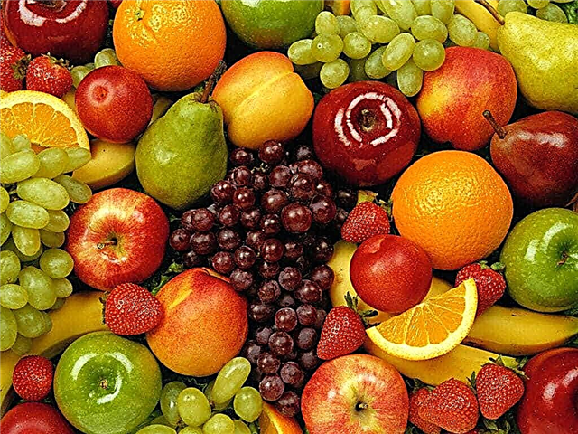 ¿Por qué las frutas son dulces solo cuando maduran? Descripción, foto y video