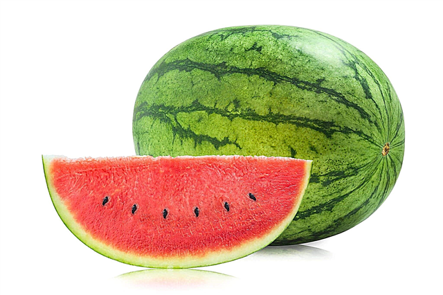 Hvorfor regnes vannmelon som et bær? Beskrivelse, foto og video