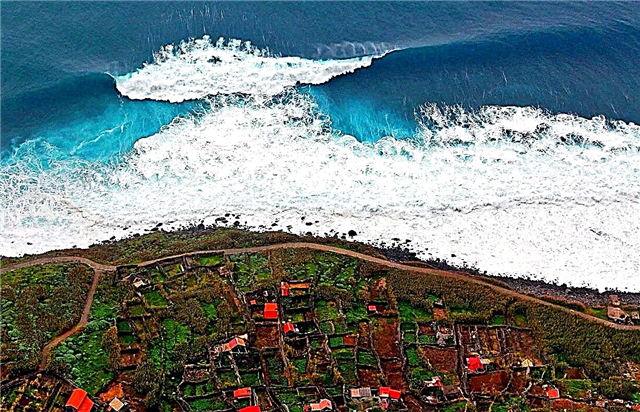 Tsunami: qué es, causas, tipos, consecuencias, fotos y videos