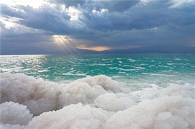 Why is the Dead Sea called Dead? Reasons, photos and videos