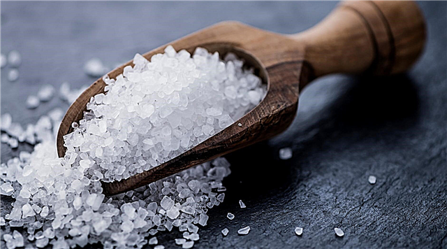 Why is table salt used for food?