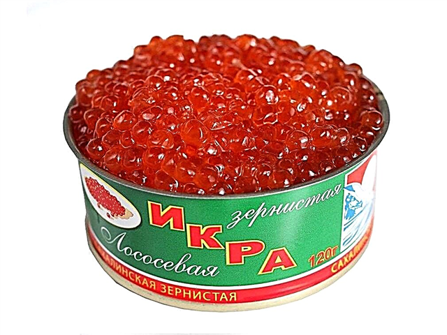Por que latas de caviar vermelho verde?