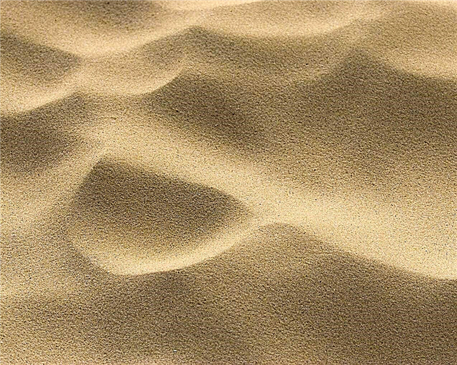 Sabbia ghiaiosa e argilla: descrizione, foto e video