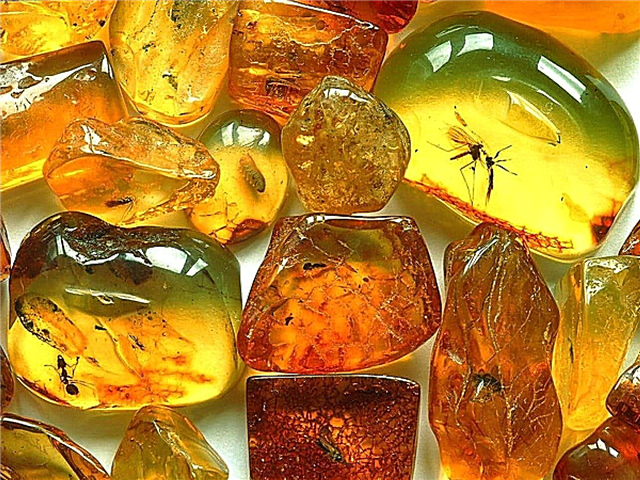 How is amber mined? Production methods, description, photos and videos