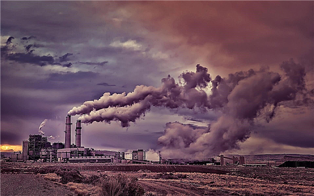 Pollution atmosphérique: causes, évaluation, impact humain, photos et vidéos