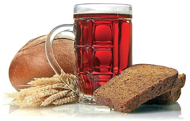How and what are kvass made from? Description, photo and video