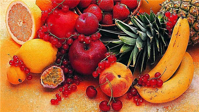 Fruit - interesting facts, photos and video