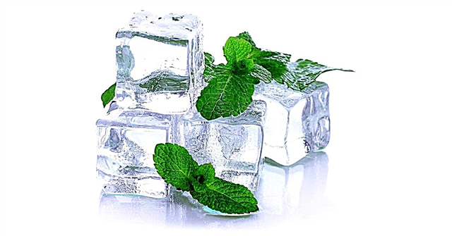 Why is mint cold in the mouth?