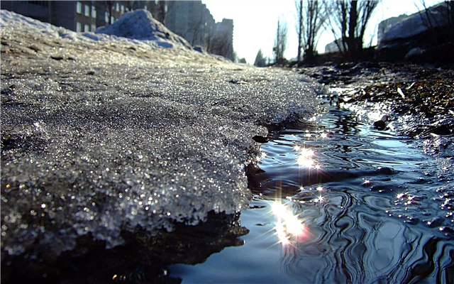 Why is snow melting faster in the city than in the countryside?