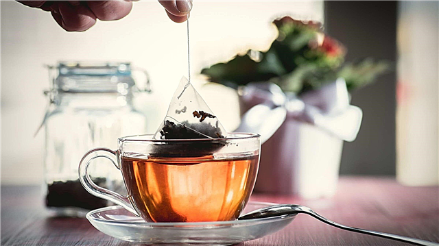 Por que o saquinho de chá é mais rápido que o chá das folhas?