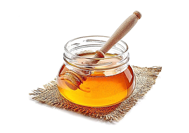 Por que o mel é cristalizado?