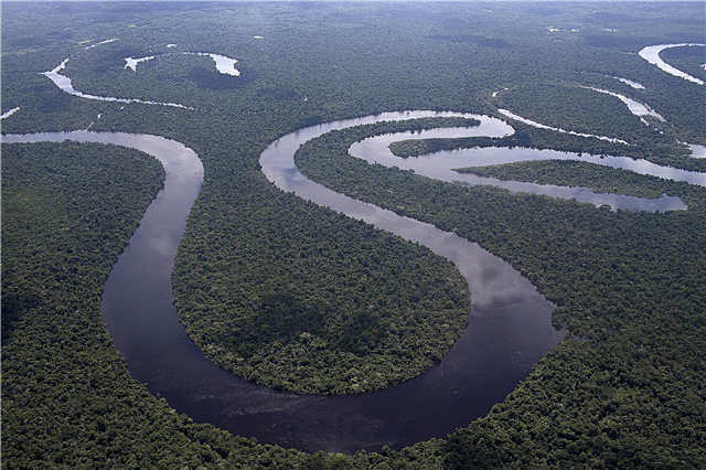 Sungai terpanjang di dunia adalah Amazon. Fakta, keterangan, gambar dan video yang menarik