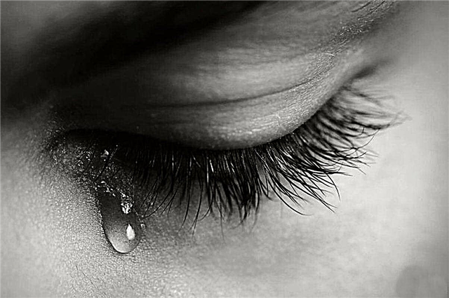 Why are tears flowing? Description, structure, photo and video