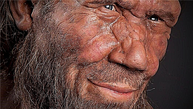 Ein neuer Grund für das Verschwinden der Neandertaler