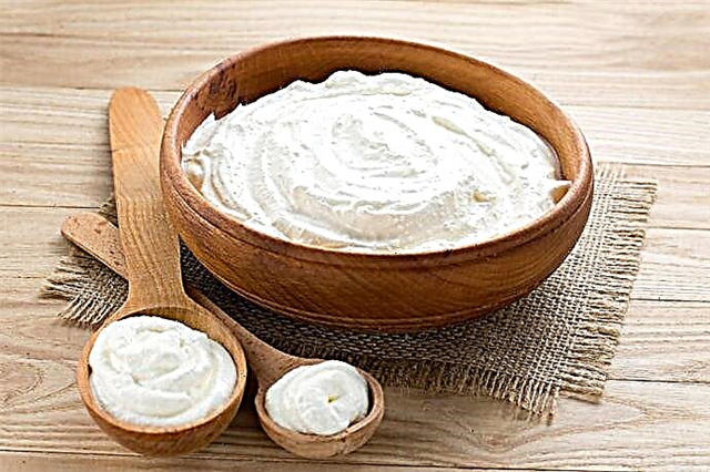 How and what is sour cream made of? Description, photo and video