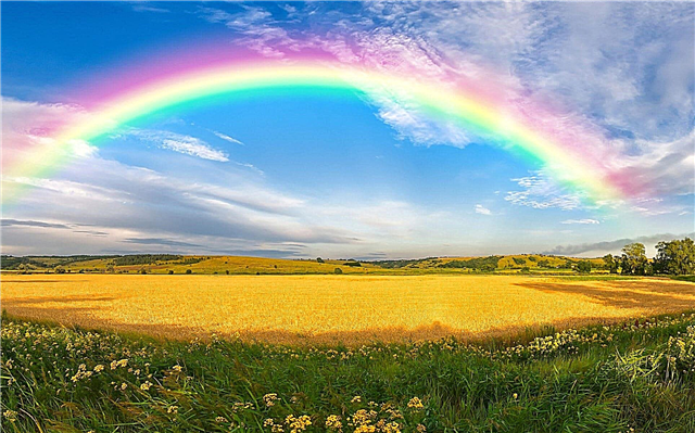 ¿Por qué un arco iris tiene forma de arco?