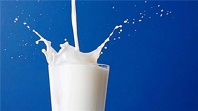 Pourquoi les Chinois ne boivent-ils pas de lait? Raisons, photos et vidéos