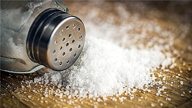 Why is salt a preservative?