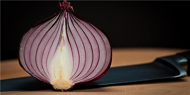 Why does onion grow in layers?